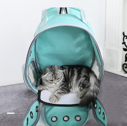 Mochila para Mascotas PVC - Imagen 4