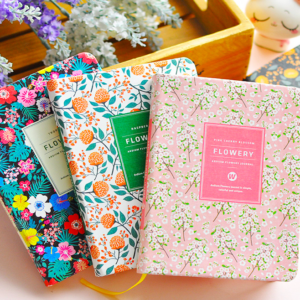 Agendas Planner Sin Año